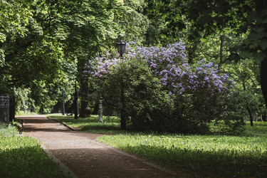 Similar image 21481325