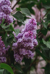 Similar image 21481327