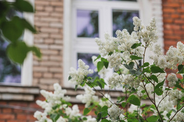 Similar image 21481329