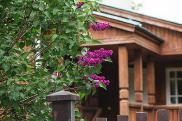 Similar image 21481330