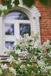 Similar image 21481332