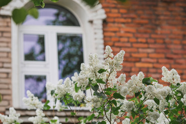 Similar image 21481334