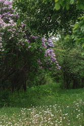 Similar image 21481335