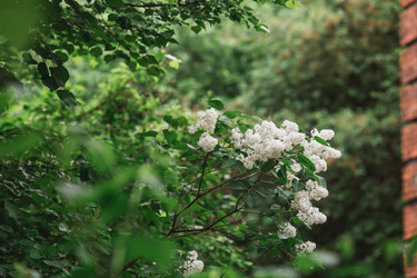 Similar image 21481336