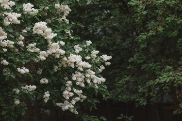 Similar image 21481338