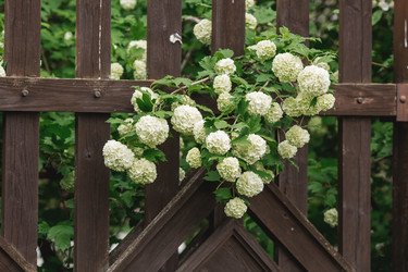 Similar image 21481340