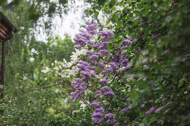 Similar image 21481341