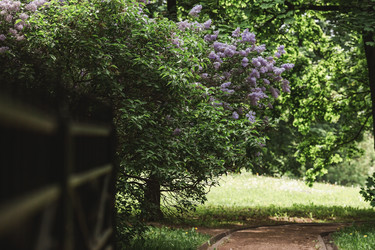 Similar image 21481342