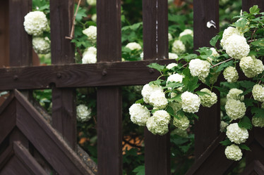 Similar image 21481343