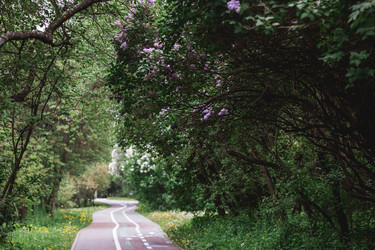 Similar image 21481348