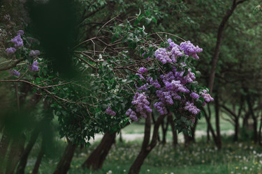 Similar image 21481353