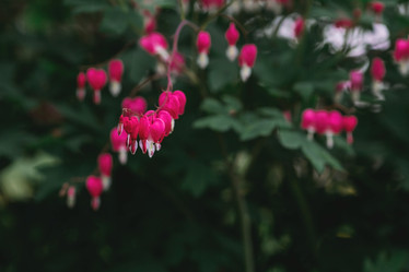 Similar image 21481354