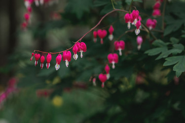 Similar image 21481355