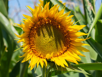 Similar image 21480196