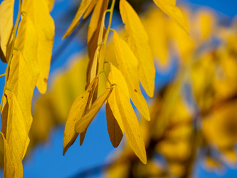 Similar image 21480197