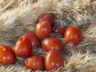 Similar image 21480198