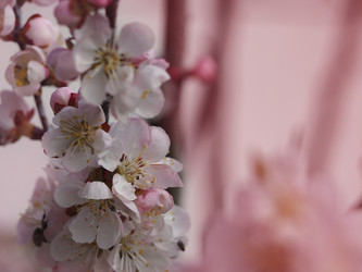 Similar image 21480202