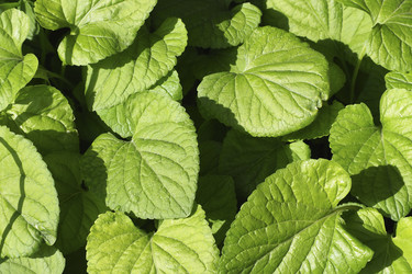 Similar image 21480208