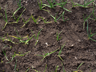 Similar image 21480210