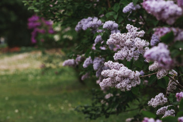 Similar image 21481107