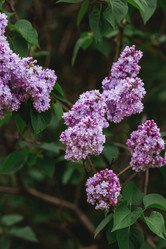 Similar image 21481108