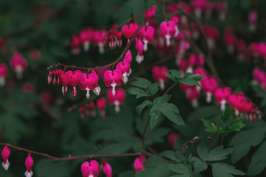 Similar image 21481109