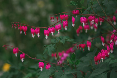 Similar image 21481110