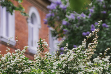 Similar image 21481111