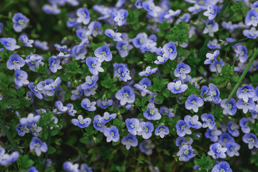 Similar image 21481112