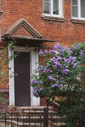 Similar image 21481113