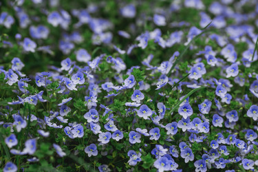 Similar image 21481114