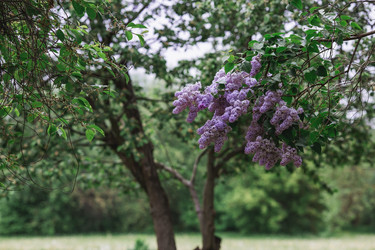 Similar image 21481115