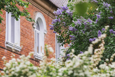 Similar image 21481116