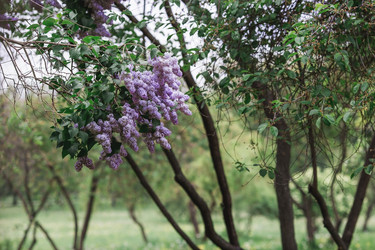 Similar image 21481117