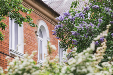 Similar image 21481118