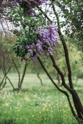 Similar image 21481121