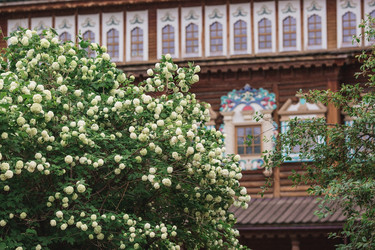 Similar image 21481357