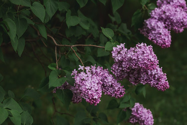 Similar image 21481128