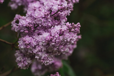 Similar image 21481129