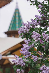 Similar image 21481137