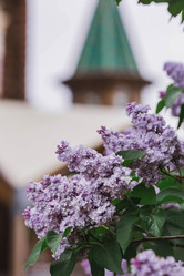 Similar image 21481140