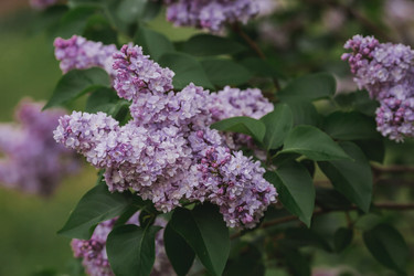 Similar image 21481360