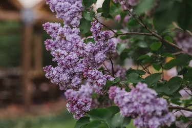 Similar image 21481363