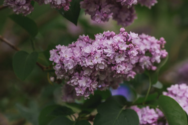 Similar image 21481365