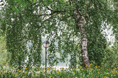 Similar image 21481375