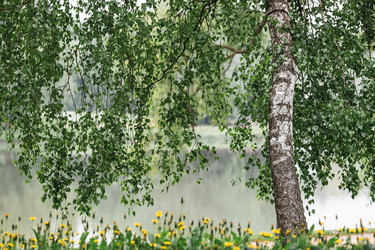 Similar image 21481377