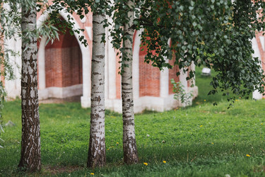 Similar image 21481378