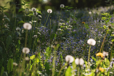 Similar image 21481385