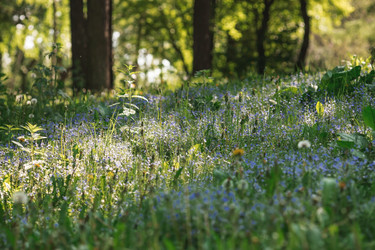 Similar image 21481388