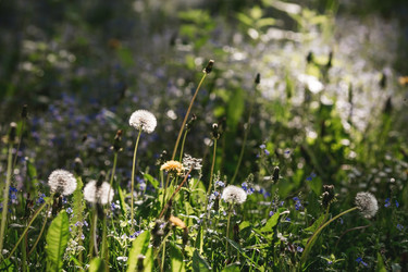 Similar image 21481146